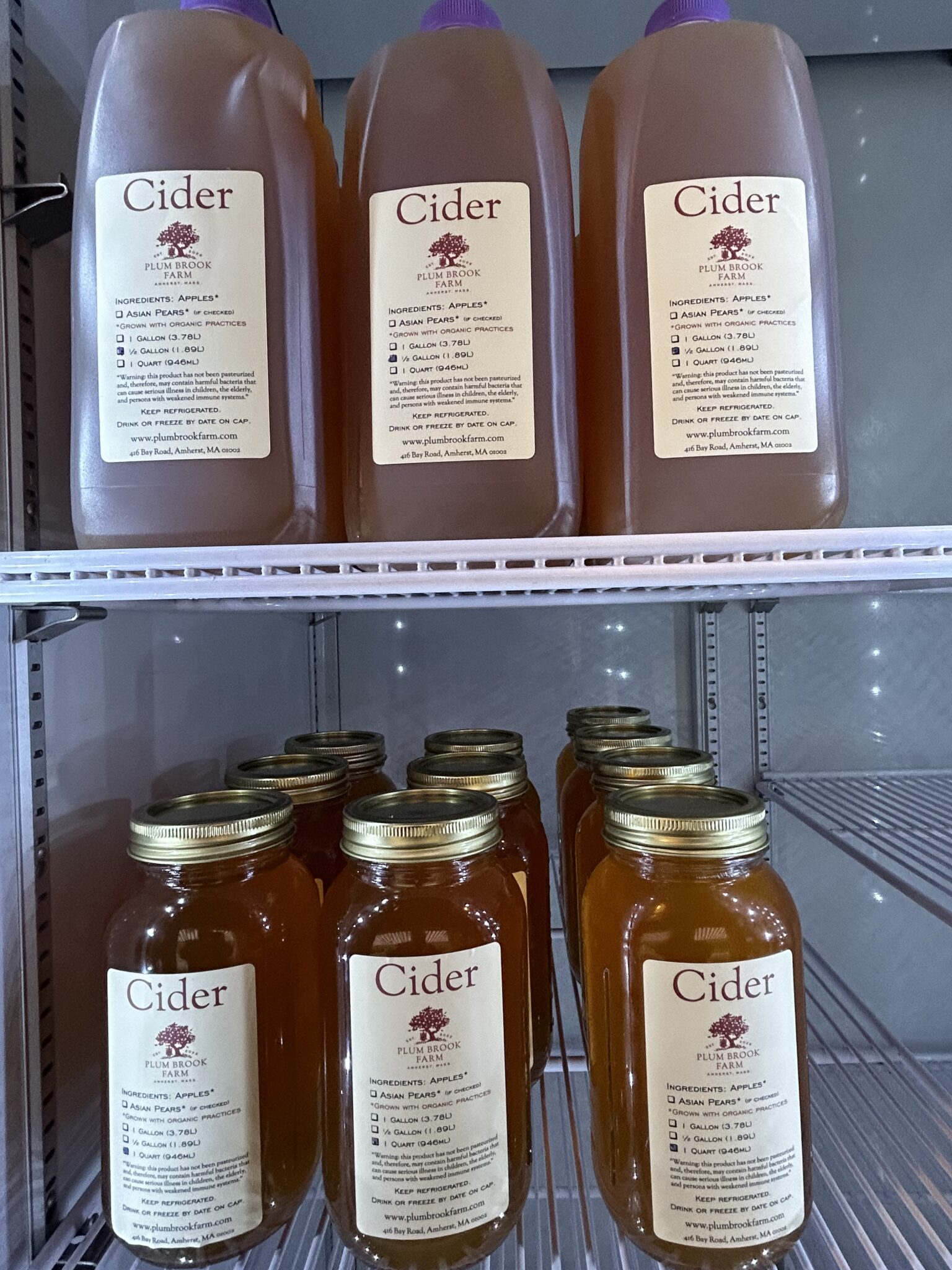 apple cider in half-gallon jugs and quart jars