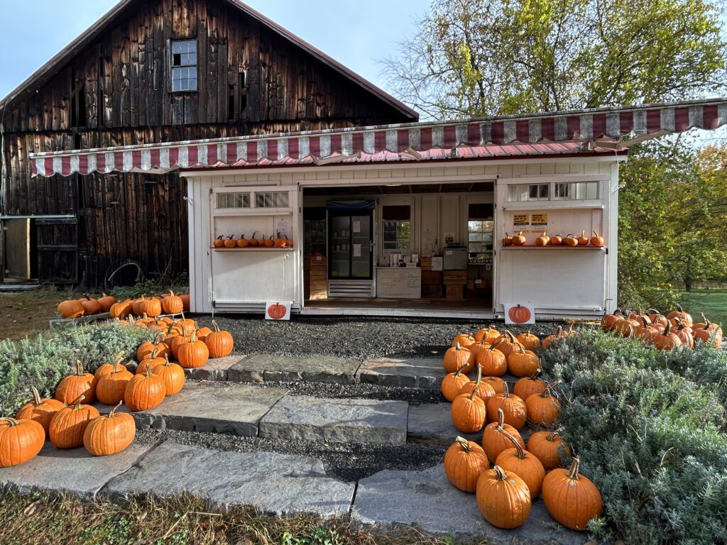 Pumpkins at the Plum Brook Farm farmstand